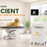 Integrated Veterinary Dental Solutions