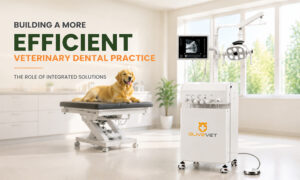 Integrated Veterinary Dental Solutions