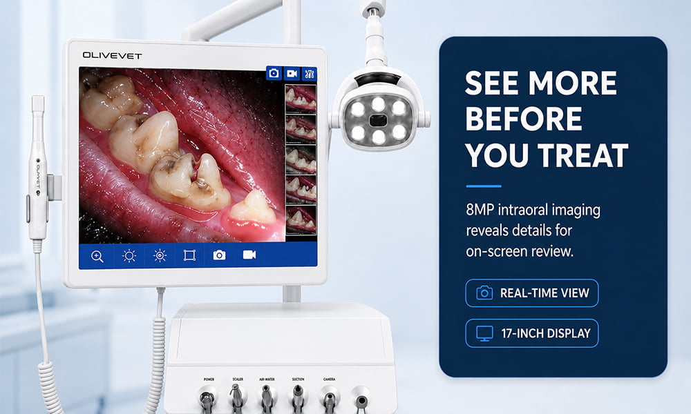 Veterinary Dental Equipment with Suction System