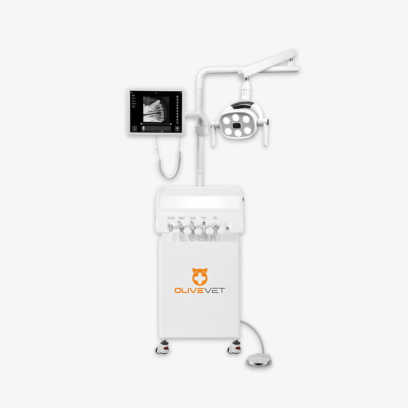 Veterinary Dental Equipment with Imaging System