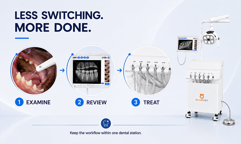 Veterinary Dental Unit with Intraoral Imaging