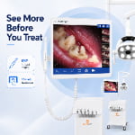 Veterinary Dental Treatment System