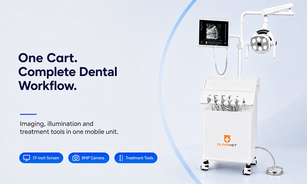 Animal Dental Equipment for Veterinary Clinics