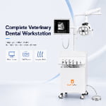 Veterinary Dental Machine with Handpiece System