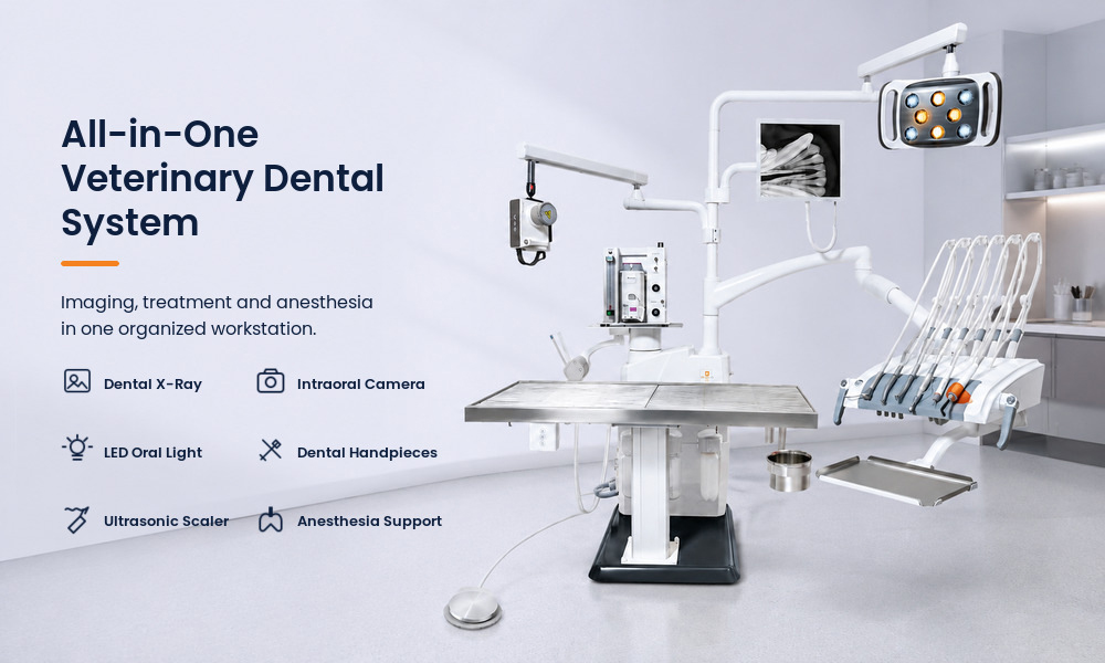 Veterinary dental equipment with LED oral light