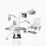 Veterinary dental workstation