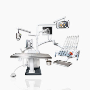 Veterinary dental workstation