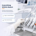 Veterinary dental workstation with intraoral camera