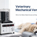 veterinary mechanical ventilation guide