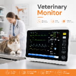 Veterinary Monitor in Animal Clinic Use