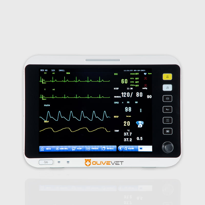 Multiparameter Veterinary Monitor