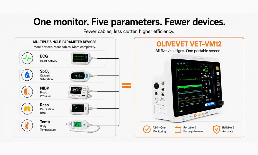 Veterinary ECG Monitor with Leads