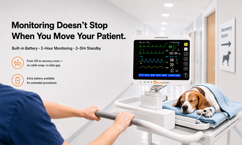 Veterinary Anesthesia Patient Monitor