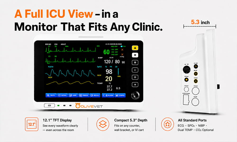 Veterinary Multiparameter Monitor for Cats